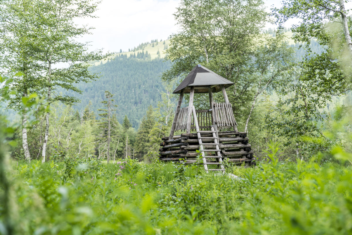 Moorrundweg Oberjoch Aussichtsturm