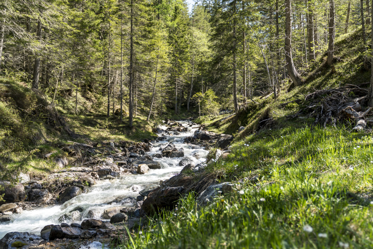 Mieminger Plateau Lehnberger Haus