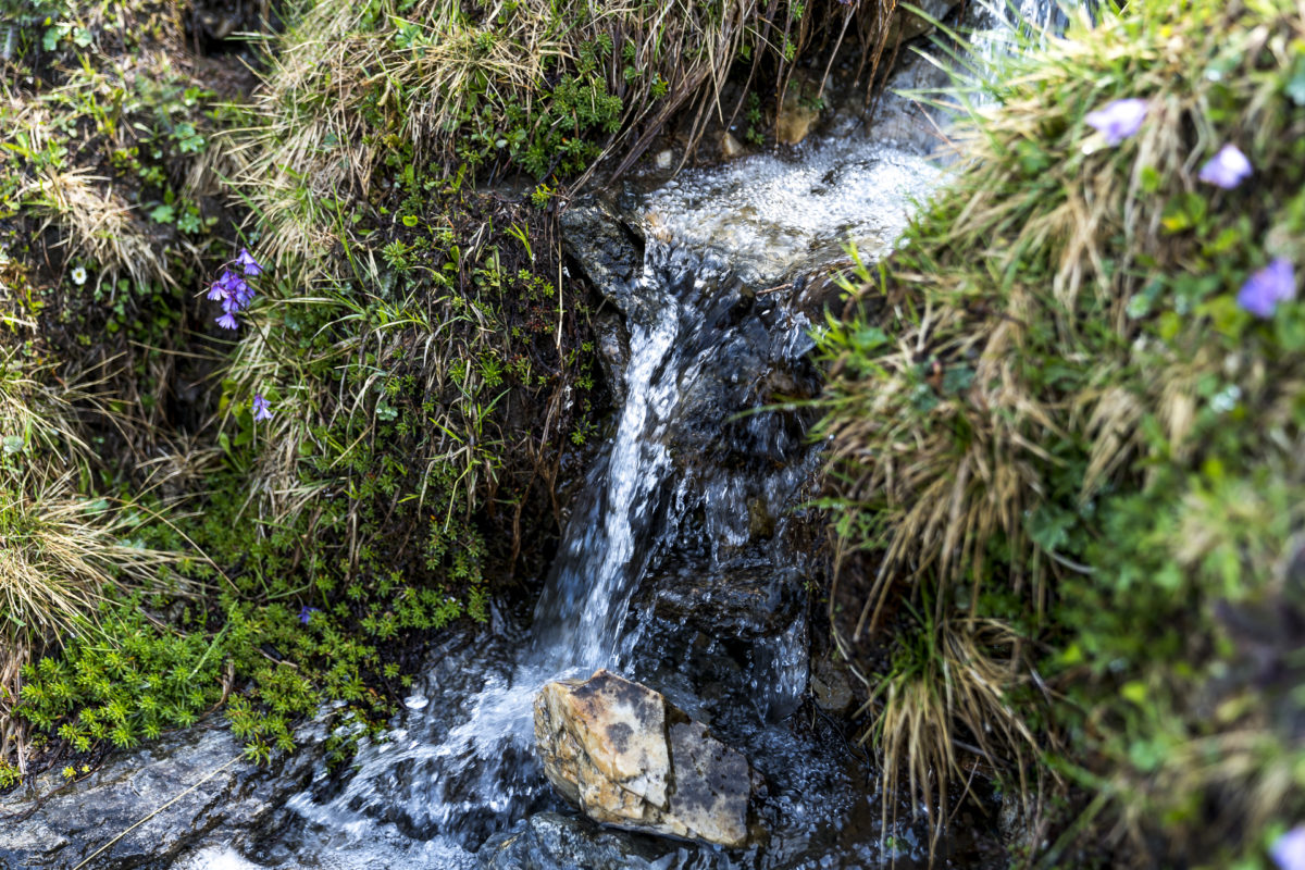 Innsbruck Trek Natur Details