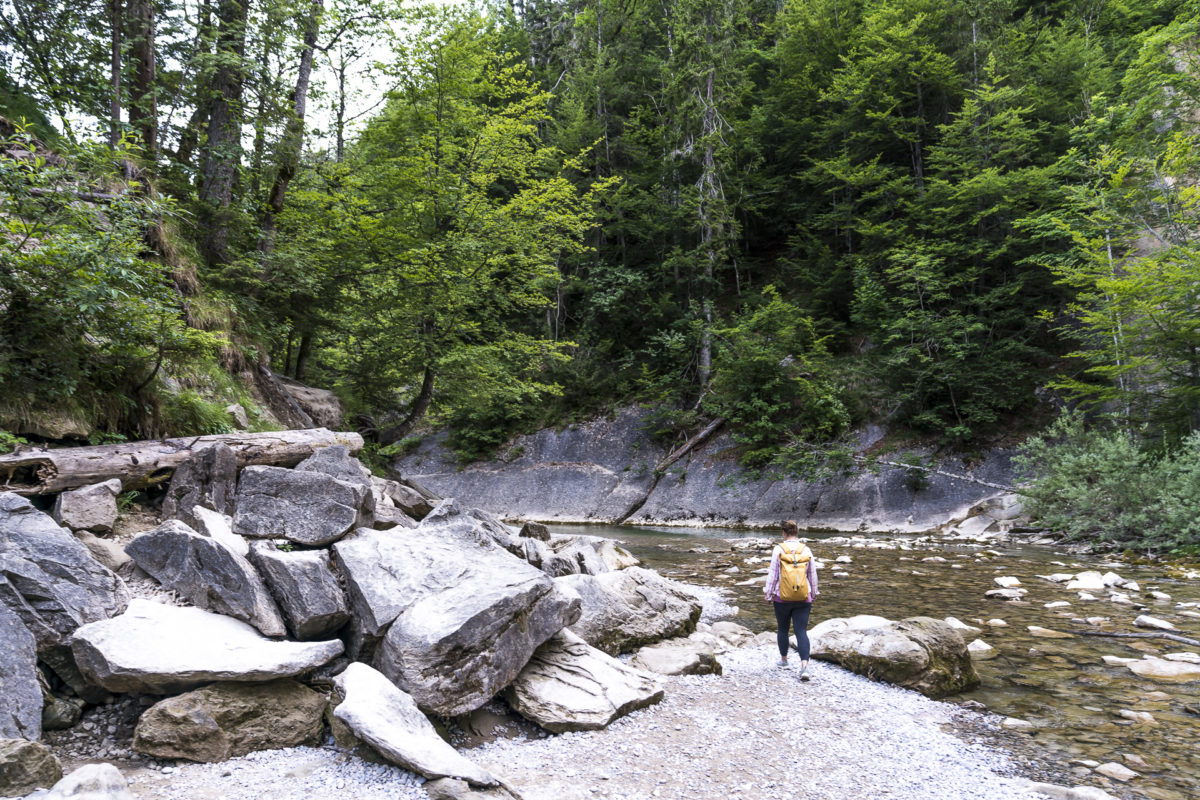 Wanderung Buchenegger Wasserfälle