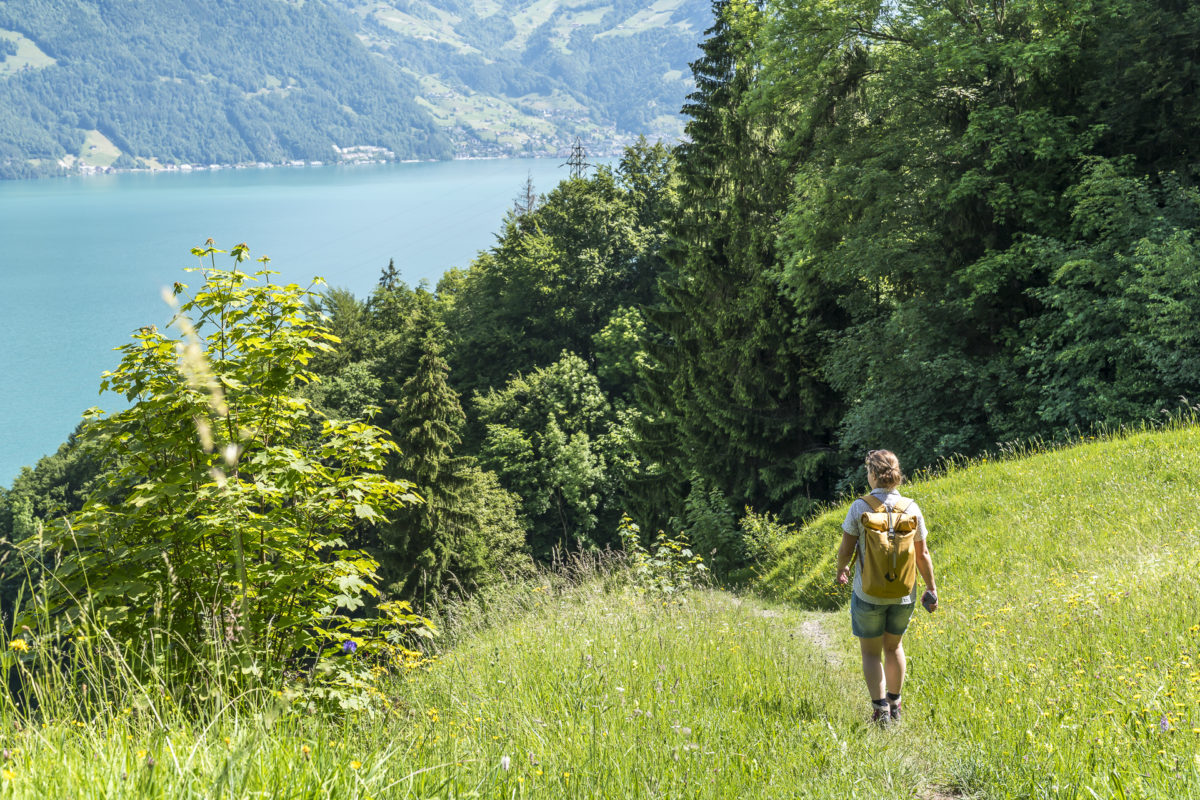 Wanderung nach Beckenried