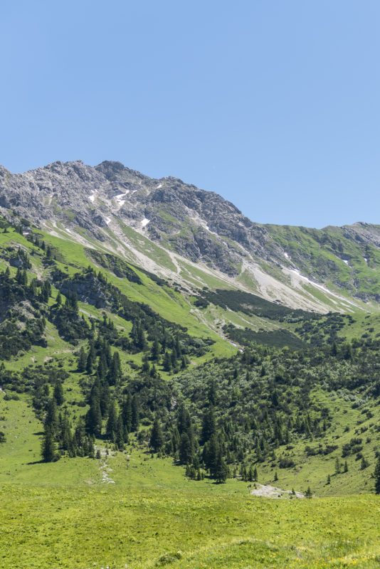 Willersalpe Panorama