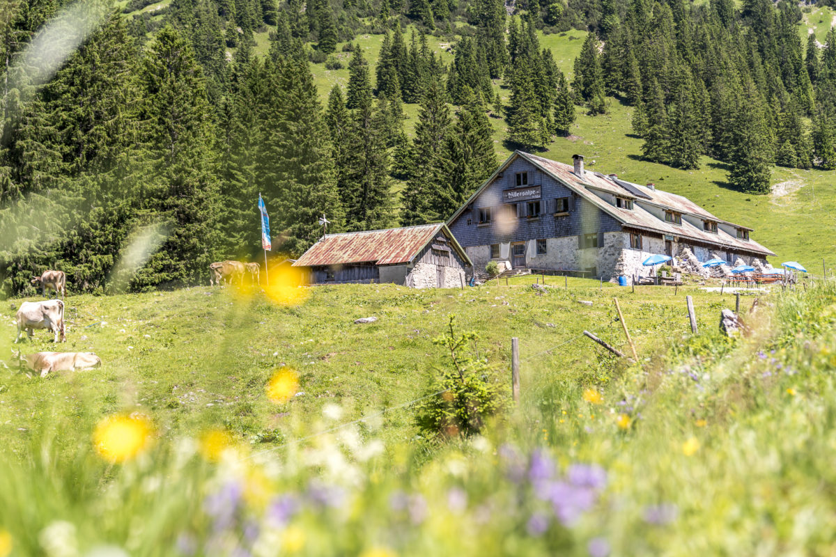 Willersalpe Wanderung Allgäu