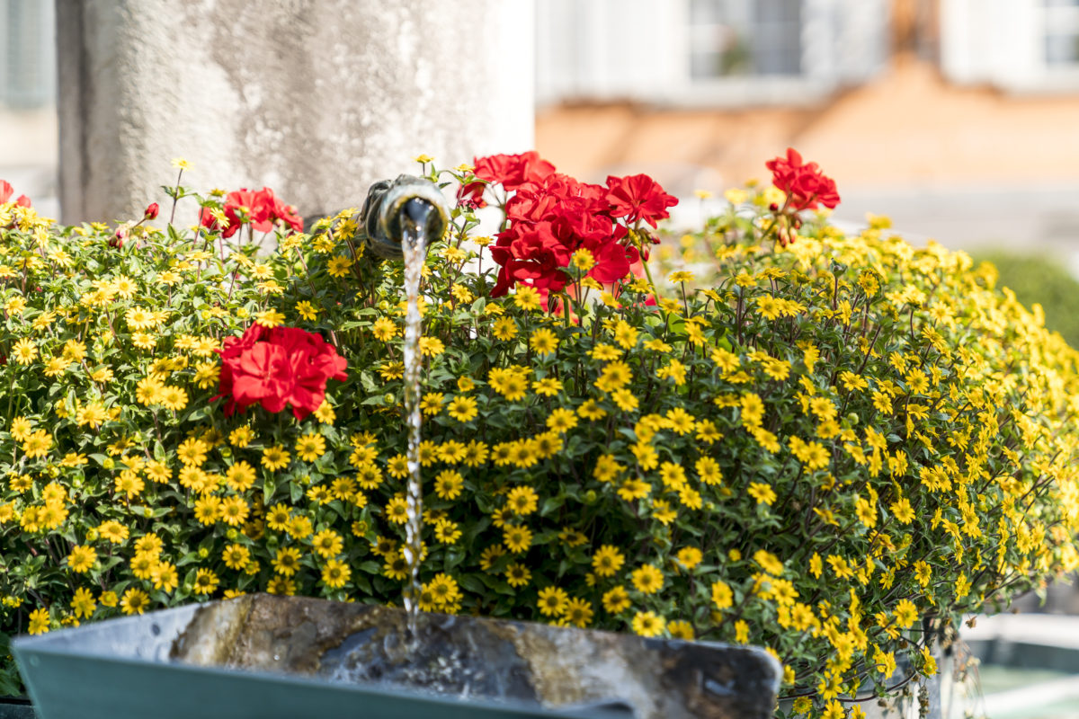 Willisau Brunnen