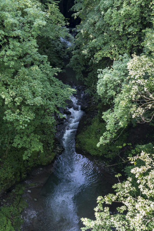 Choltalbach Emmetten