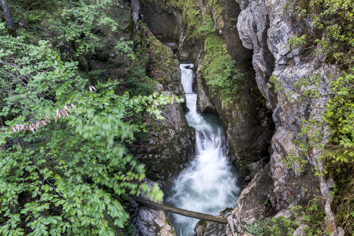 Choltalbach Risletenschlucht