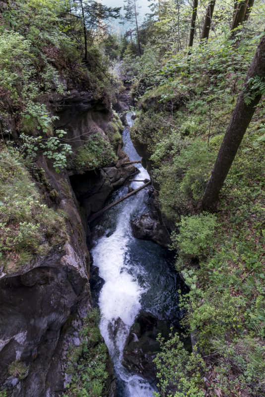 Choltalbach Risletenschlucht