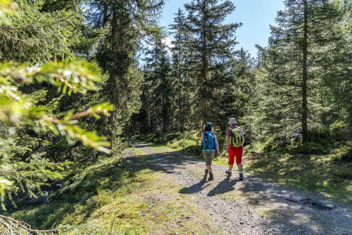 Waldweg Gries Kühtai