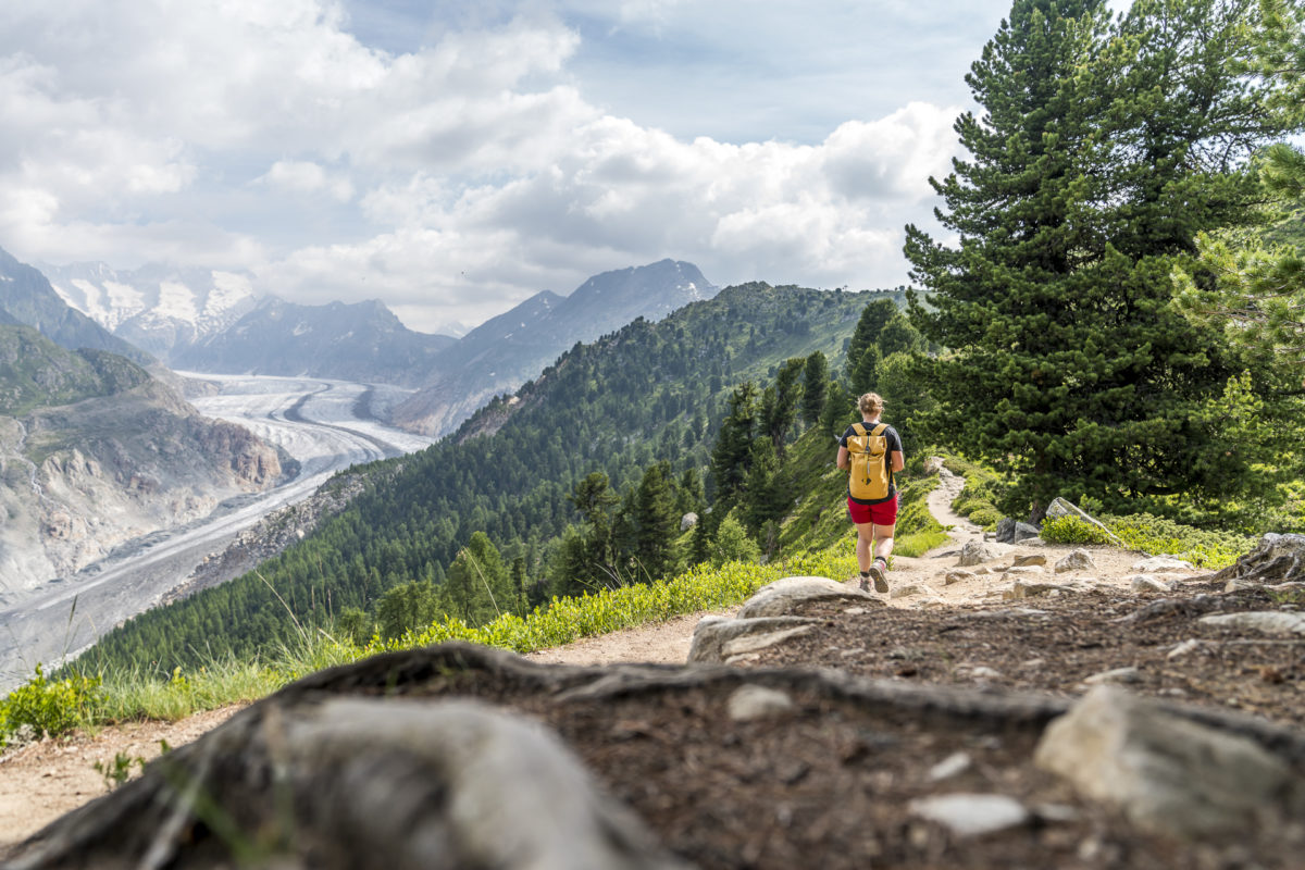 Aletsch Panoramaweg Wanderung