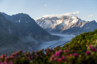 Aletsch Panoramaweg & Gletschertour: auf Tuchfühlung mit dem Aletschgletscher