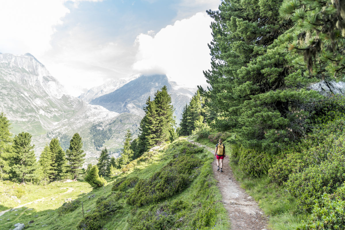 Aletschwald Wandern