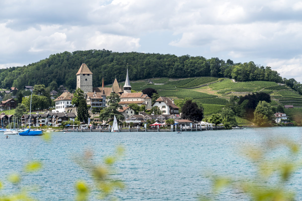 Thunersee Bucht