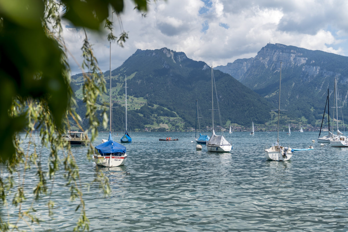 Thunersee mit Kanu