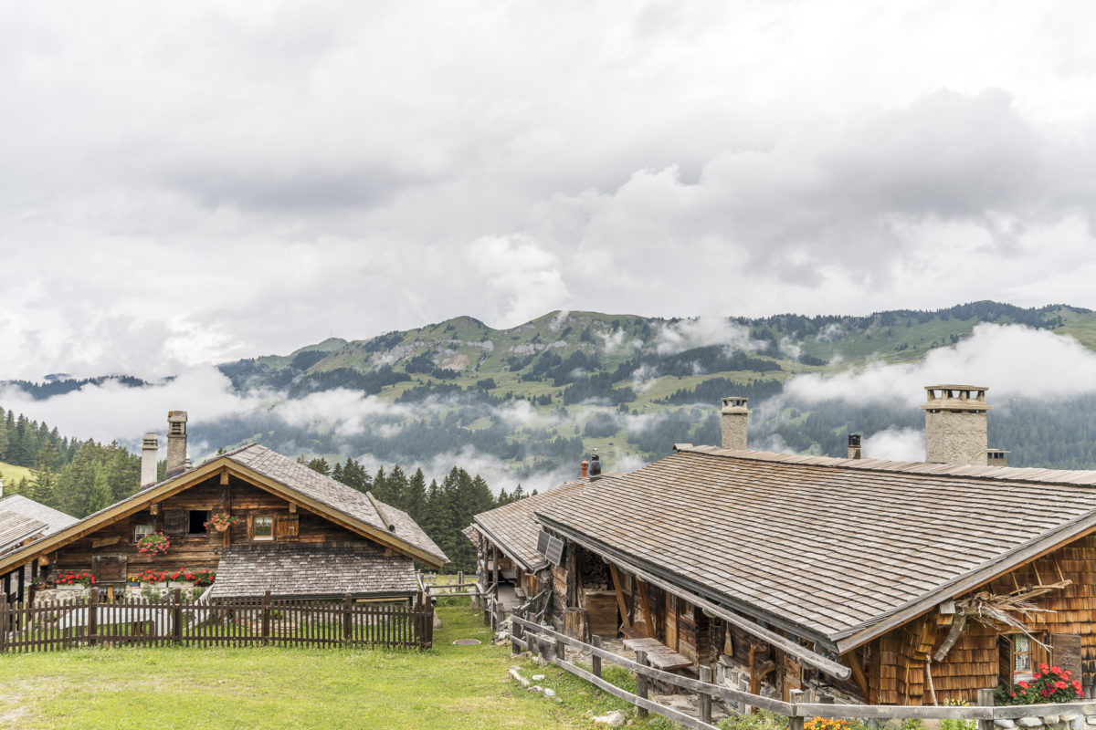 Tour des Alpes Vaudoise Alpen