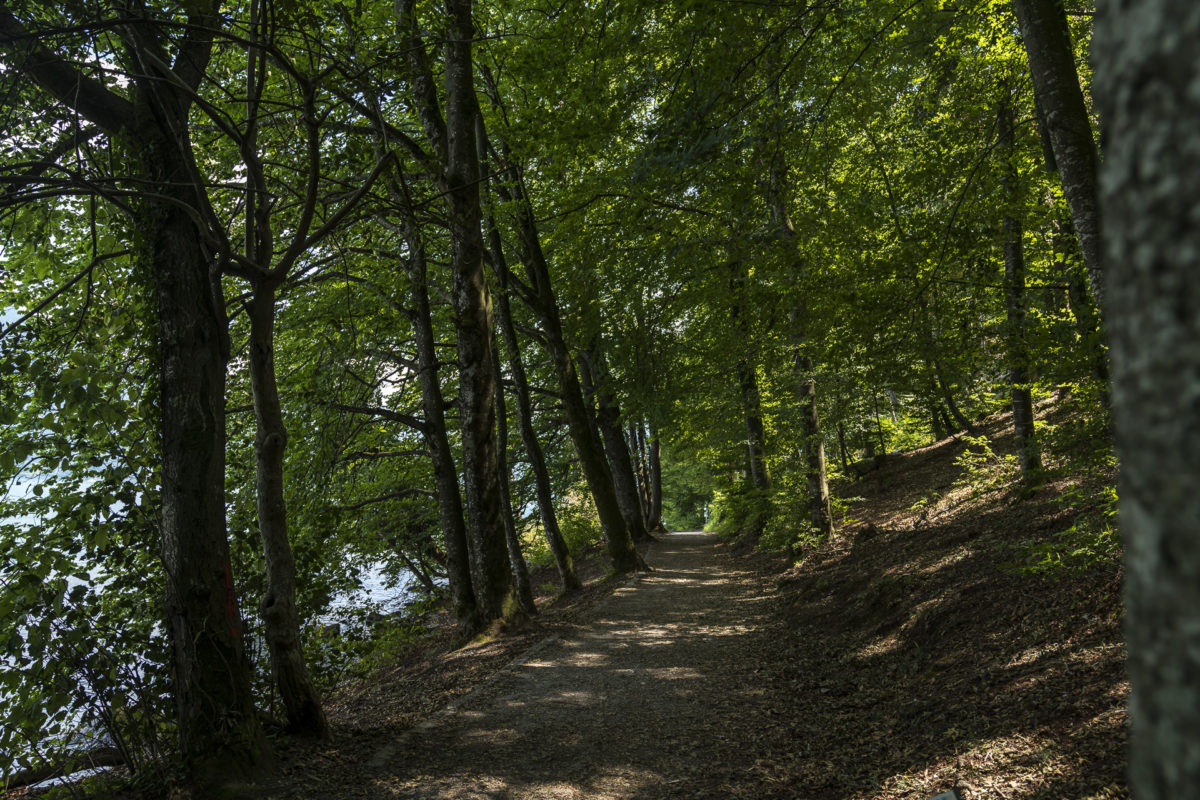 Uferweg Spiez