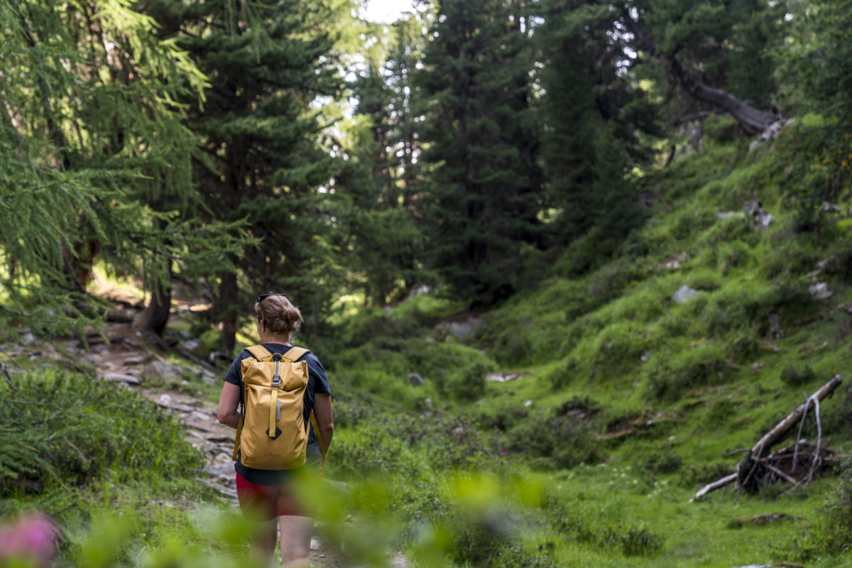 Waldbaden im Aletschwald