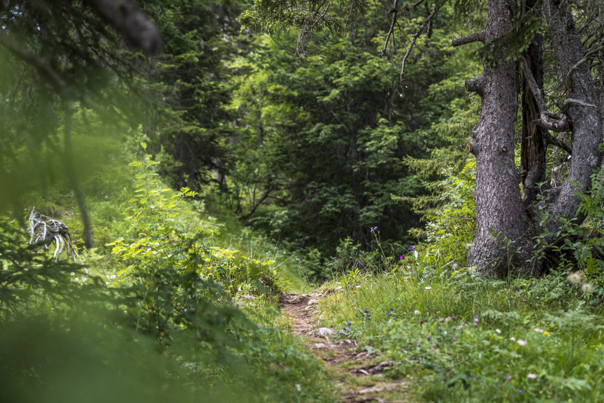 Wanderung Tour des Alpes Vaudoise