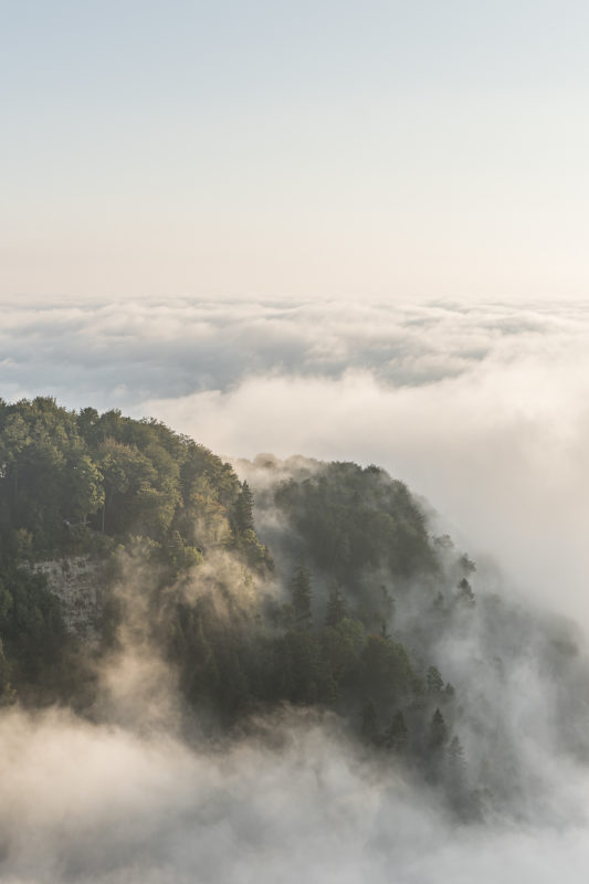 Fallätschen Leimbach Nebel