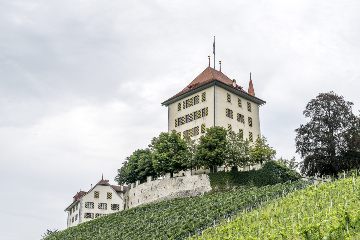 Gelfingen Schloss Heidegg