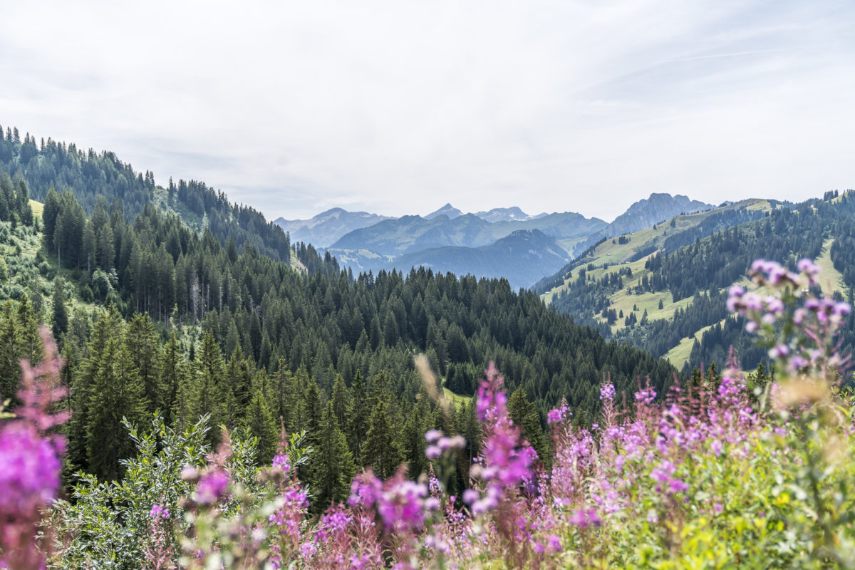 Grischbachtal Saanen