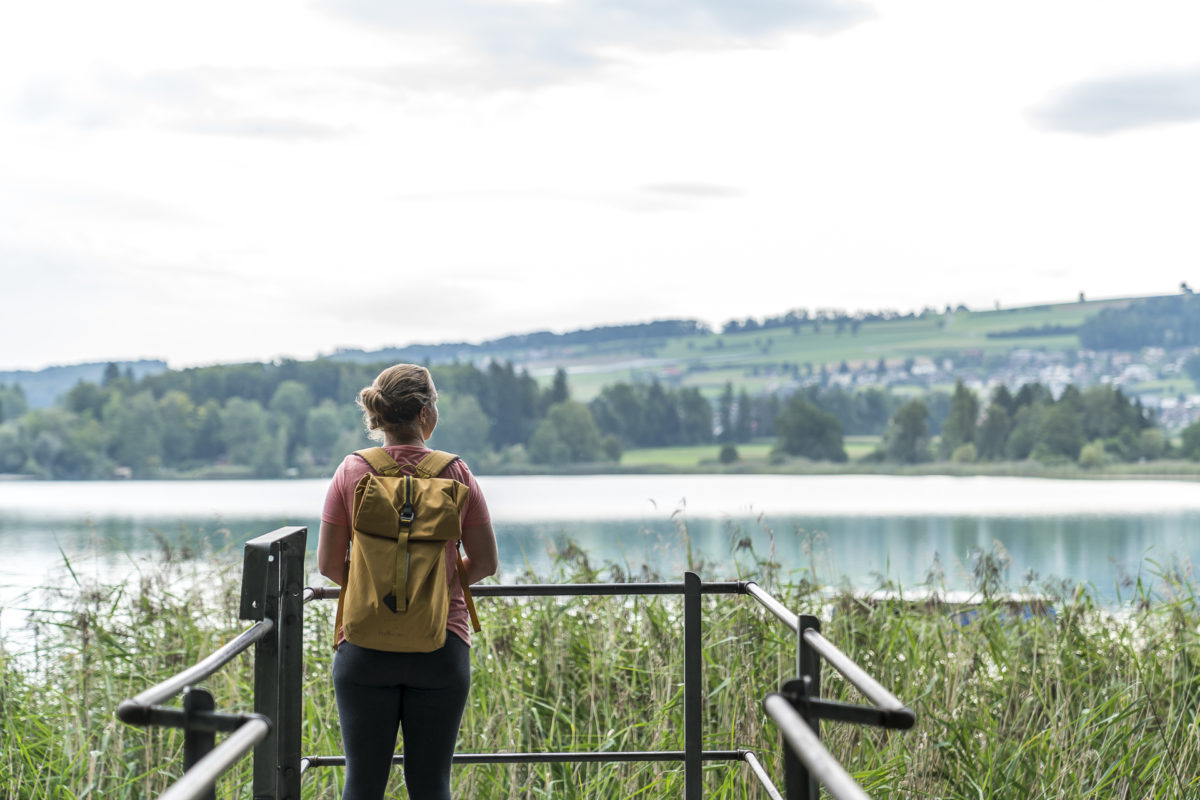 Hallwilersee Mosen