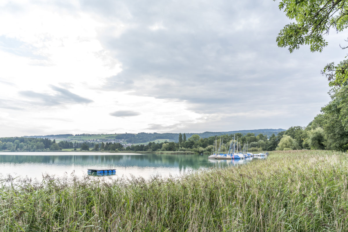 Hallwilersee Seetal