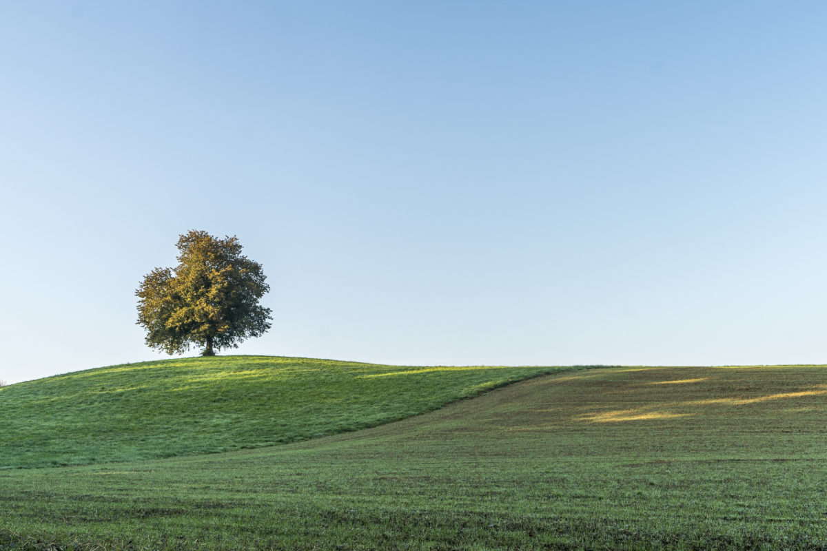 Knonaueramt Landschaft