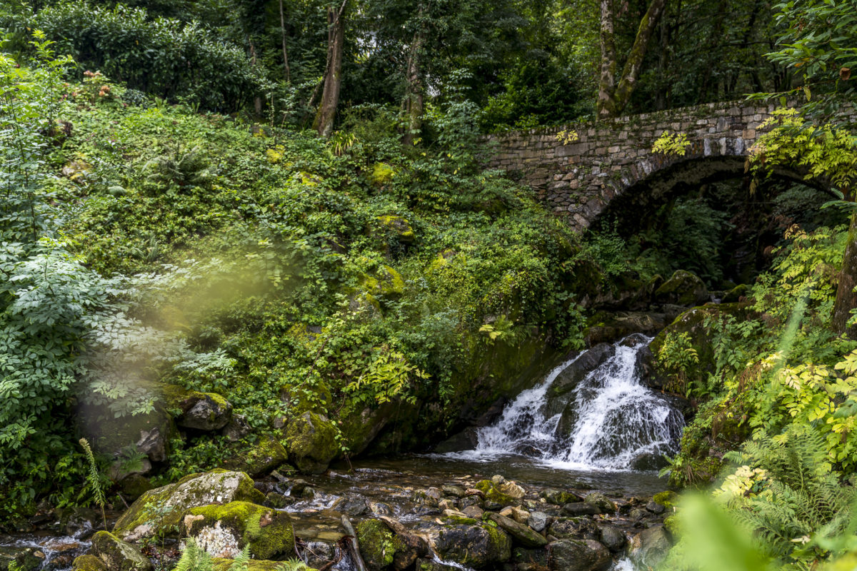 Natur Tessin