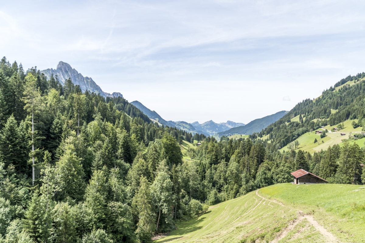 Rellerli Bike Tour