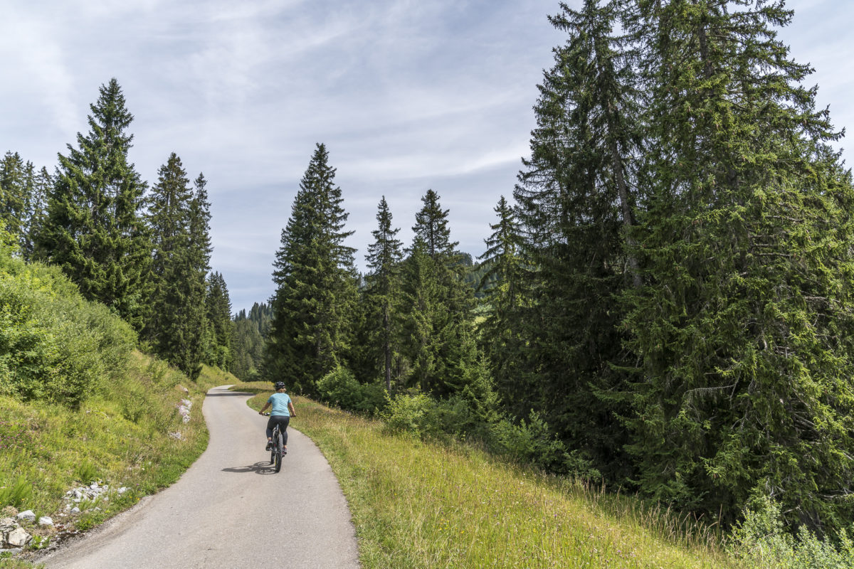 Rellerli Bike e-Biking