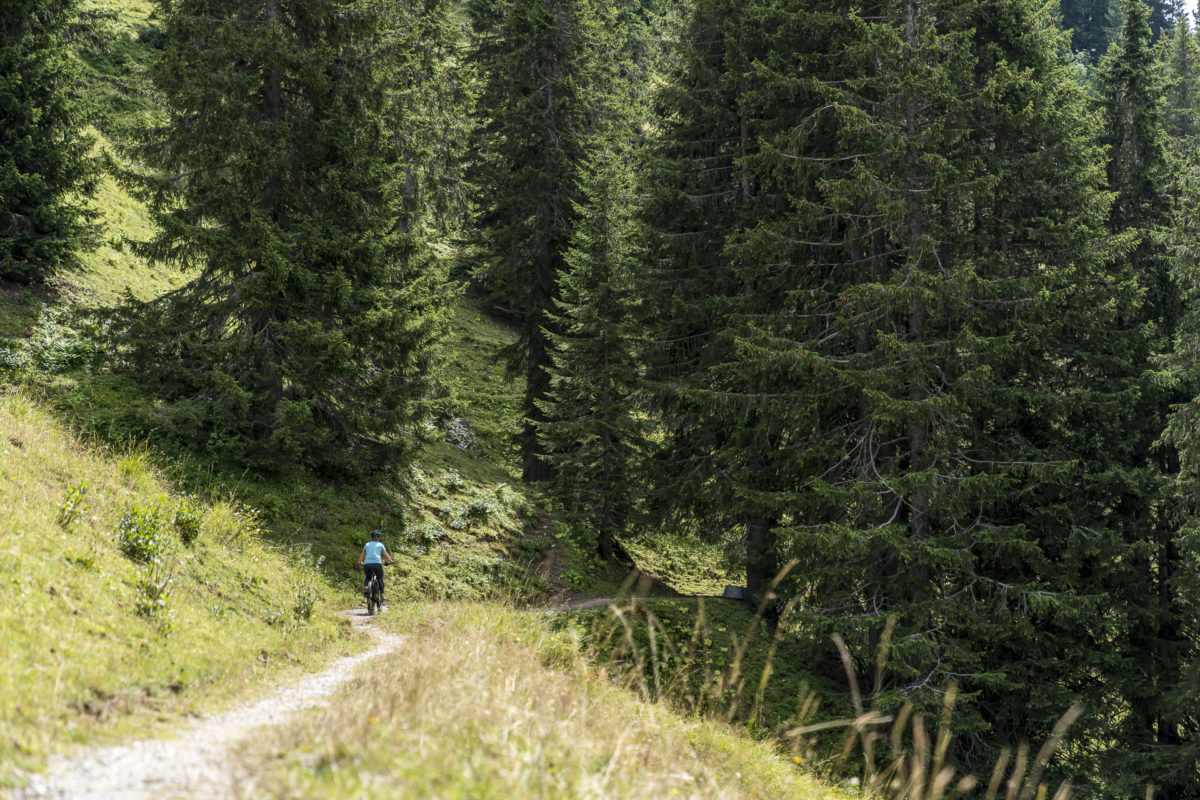 Rellerli-Bike Gstaad Saanenland