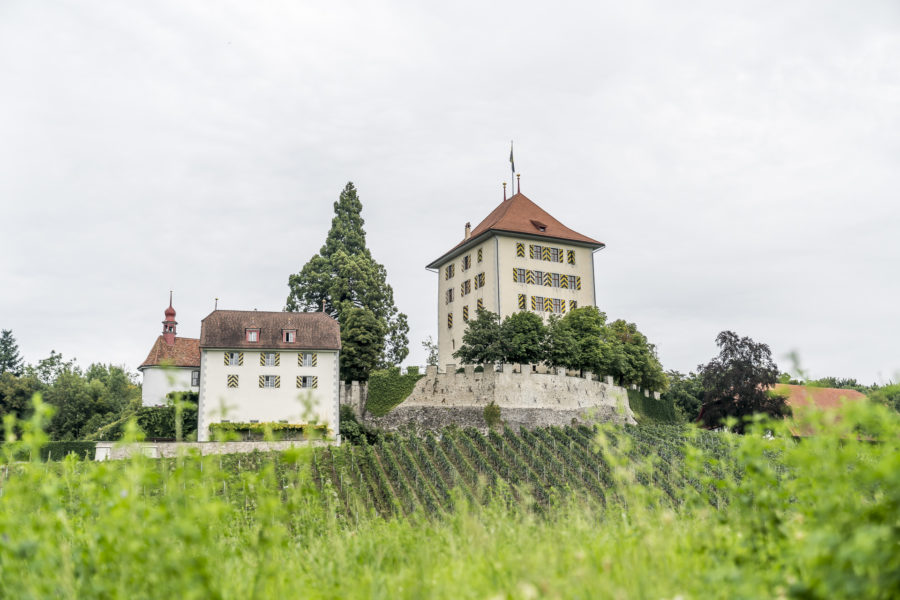 Schloss Heidegg Gelfingen