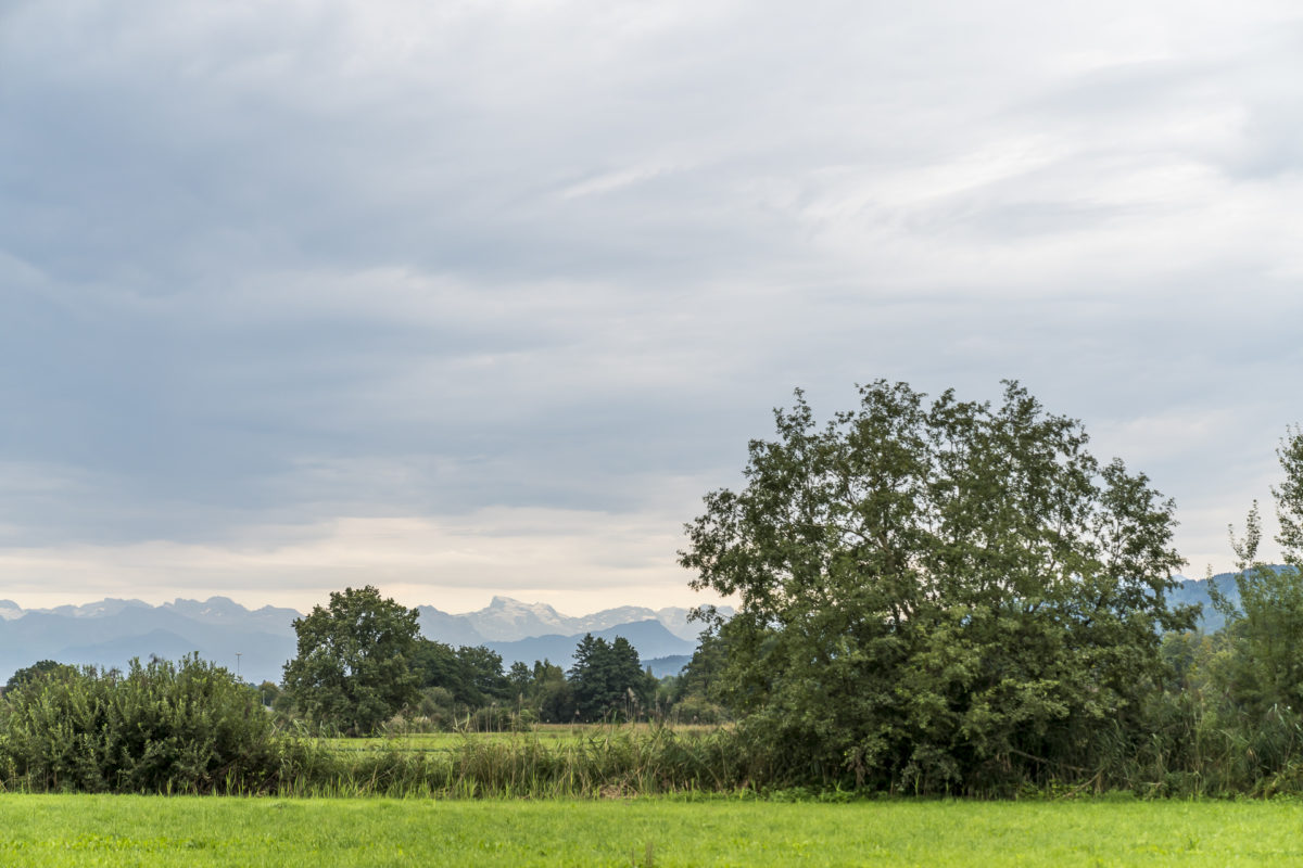 Seetal Bergblick