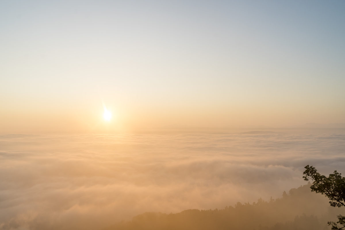 Sonnenaufgang Uetliberg