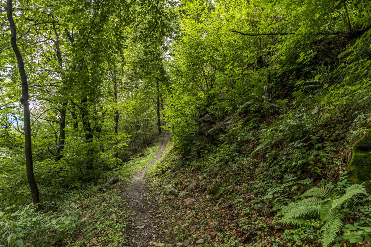 Tessin Gambarogno Wanderung