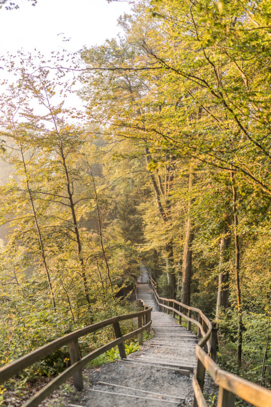 Treppenweg Uetliberg