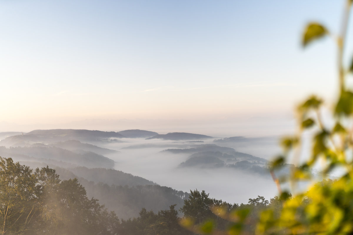 Uetliberg Albispass Aussicht