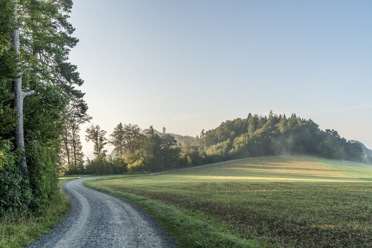 Uetliberg Felsenegg Wandern