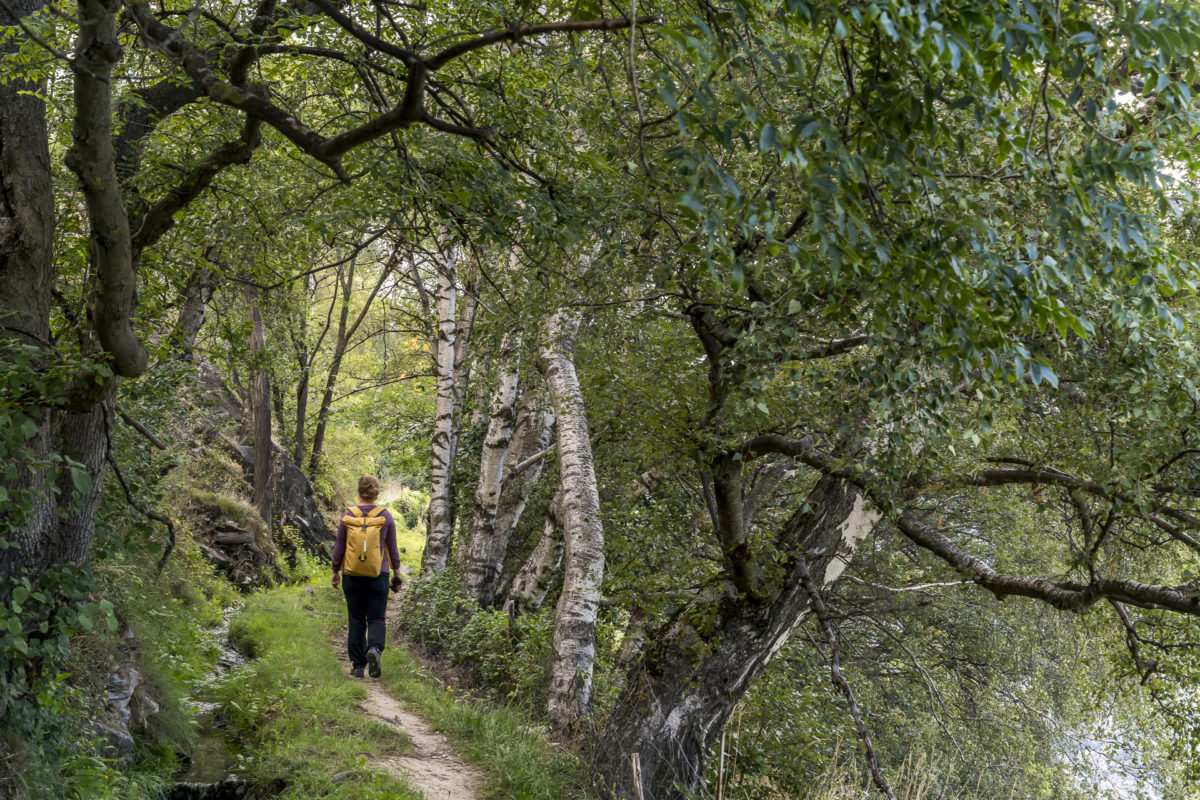 Walliser Suonenweg Hohtenn