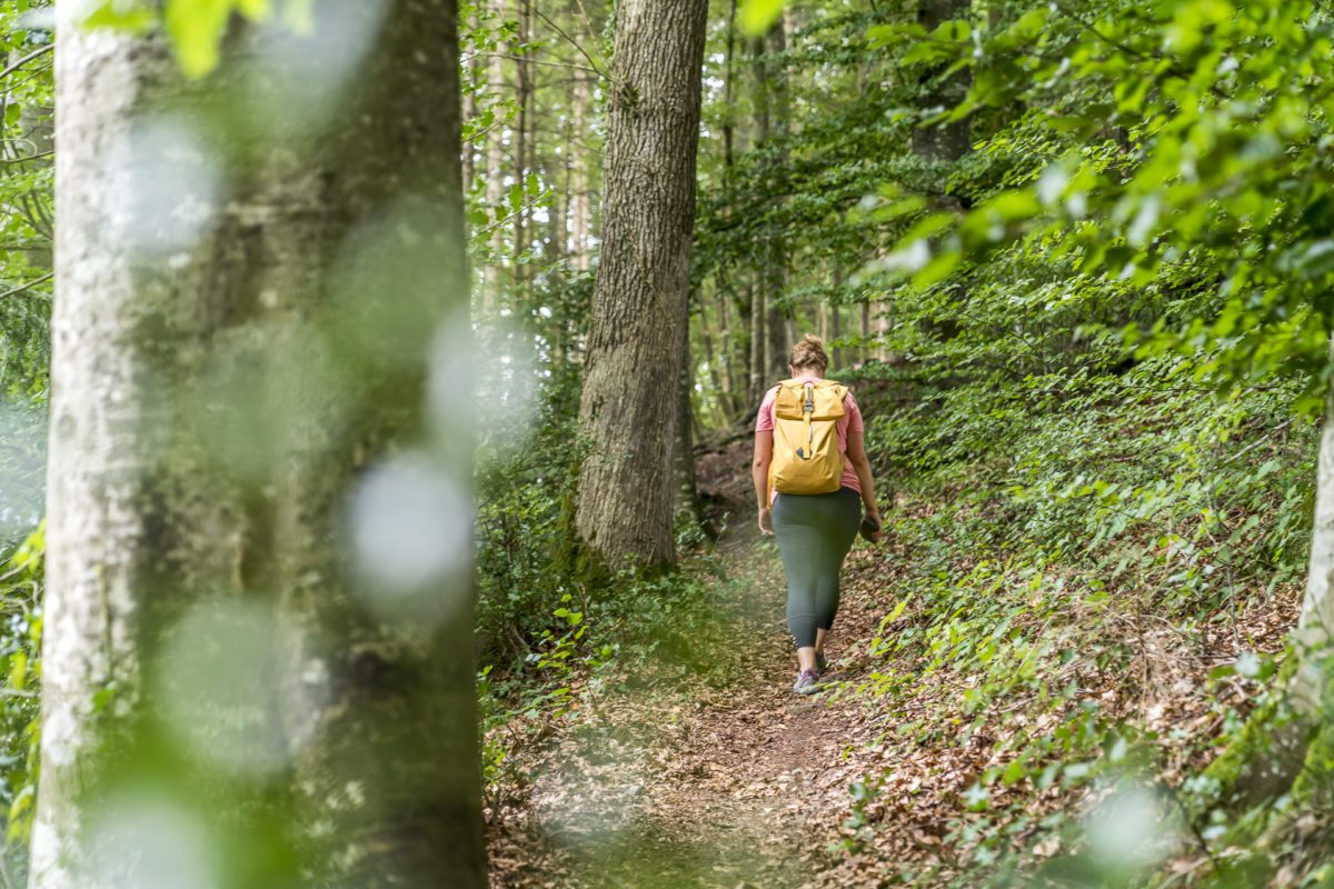 Wandern im Seetal