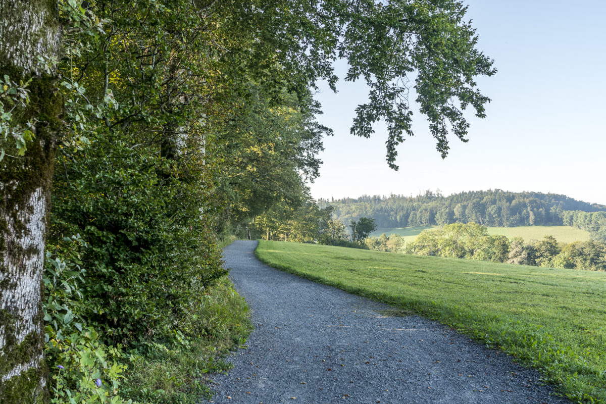 Wanderung Uetliberg Albispasshöhe