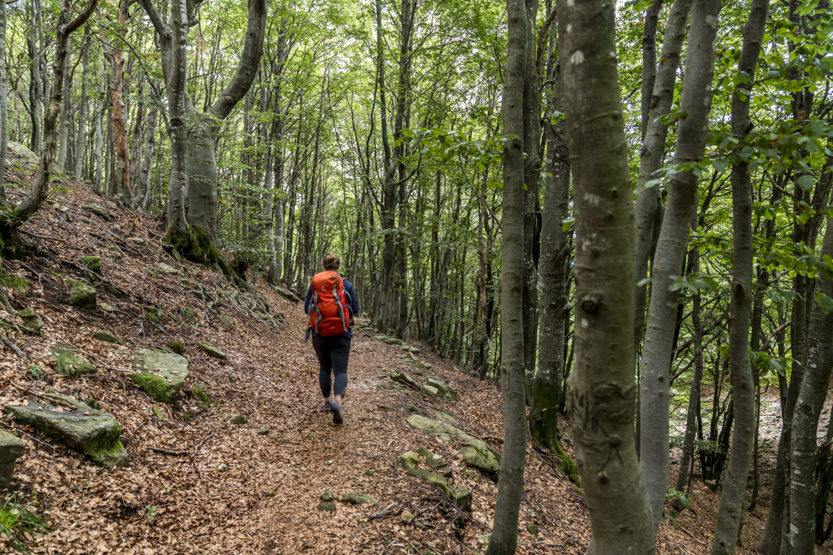 Wandern in der Region Locarnese