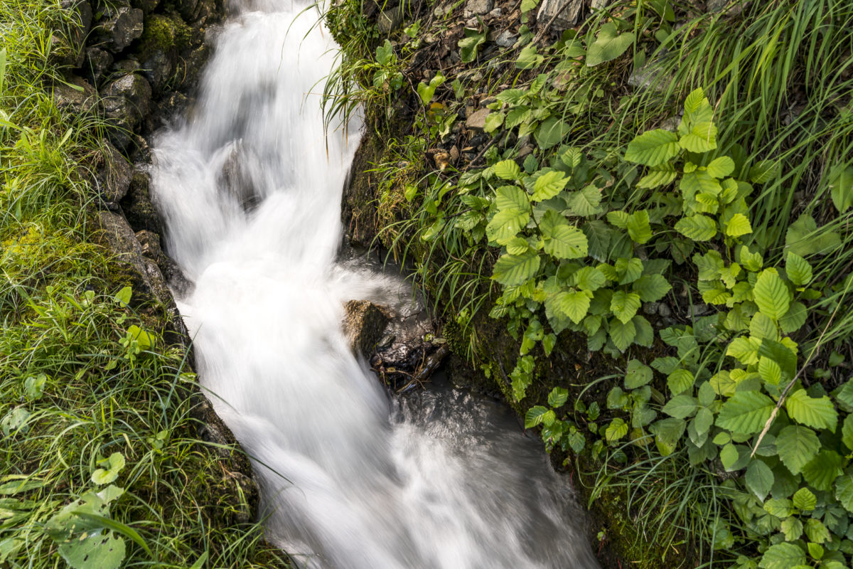 Wasser Suonen Details