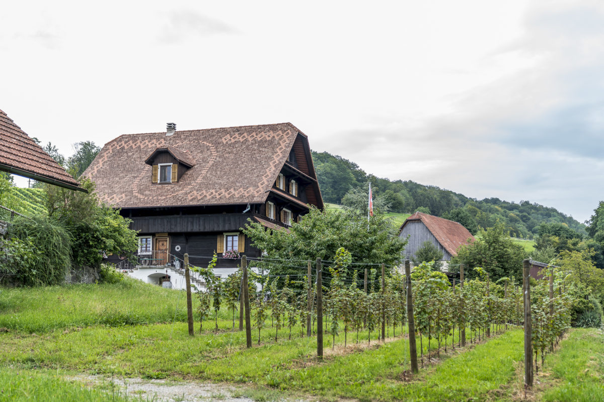 Weingut im Seetal