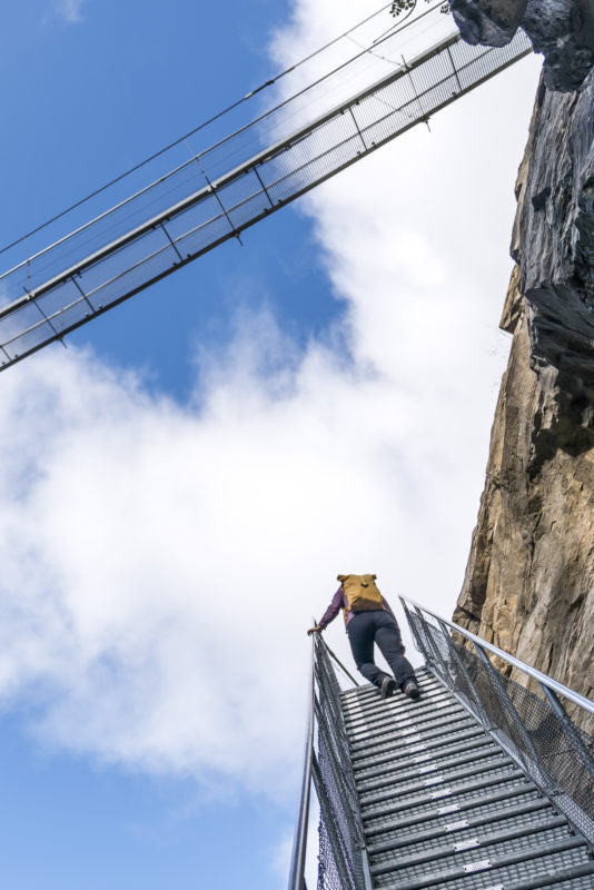 BLS Südrampe Treppen