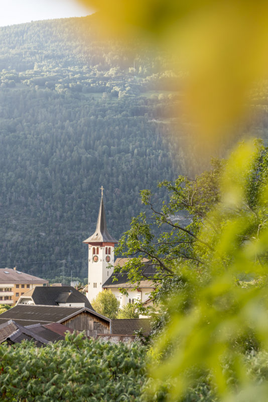 Lötscherg-Südrampe-Gampel