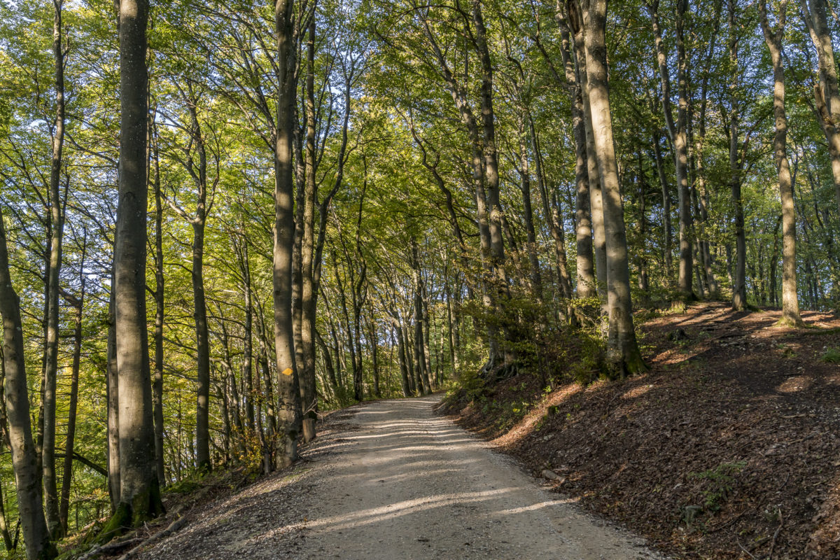 Jura Höhenweg Lägern