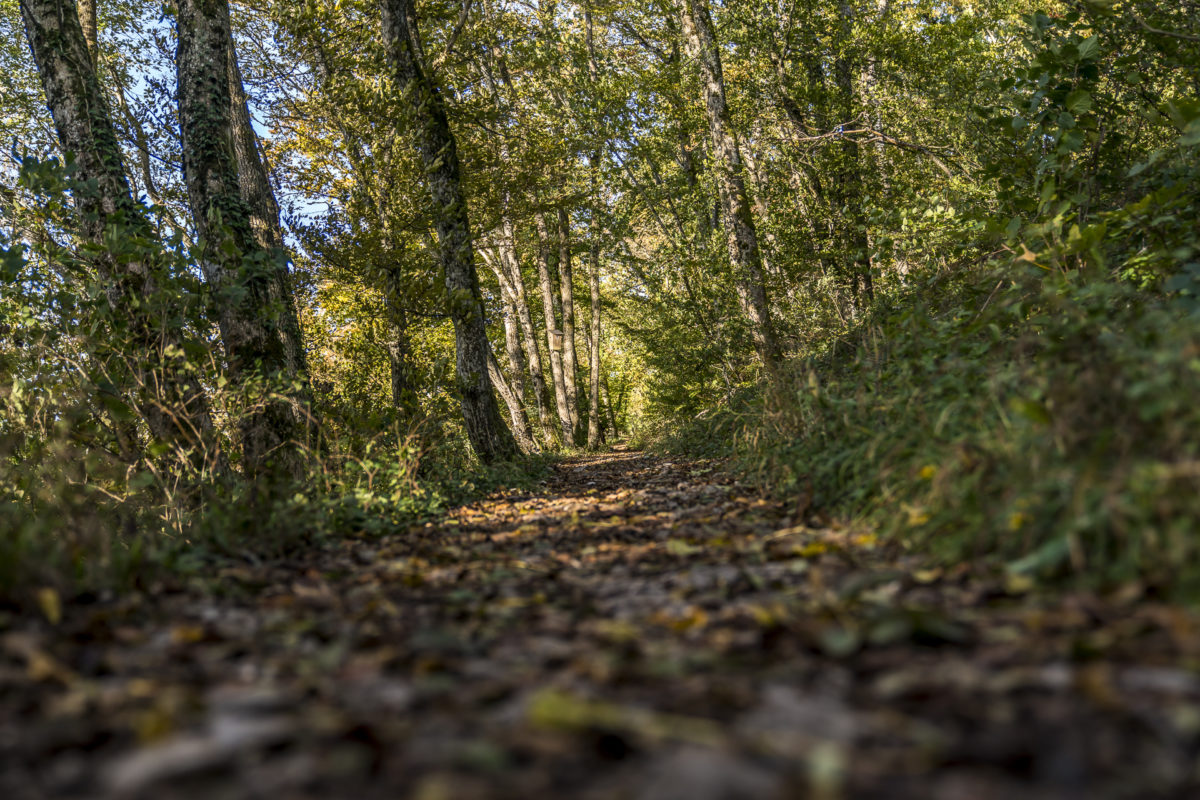 Lägern Gratwanderung Natur