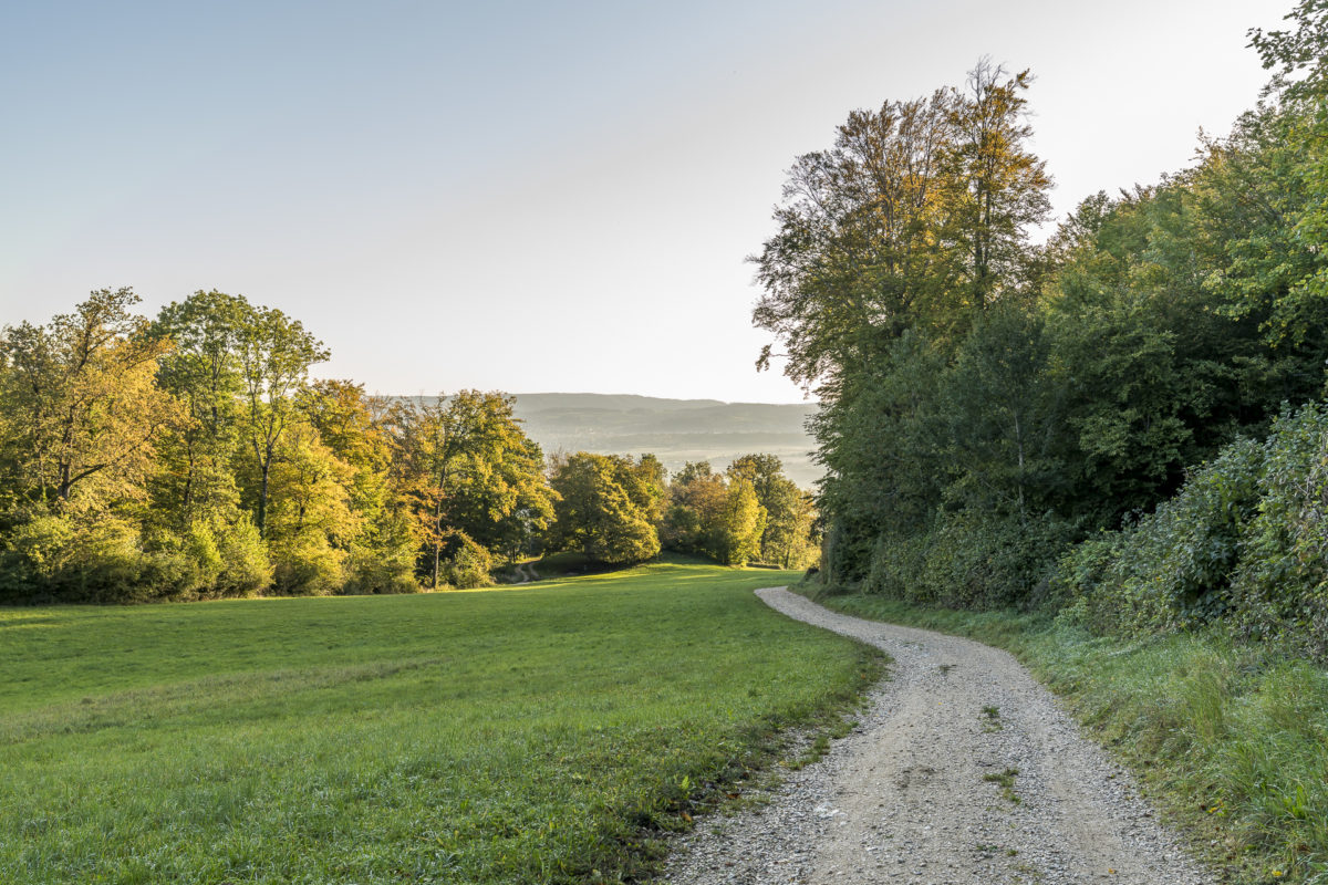 Lägern Gratwanderung