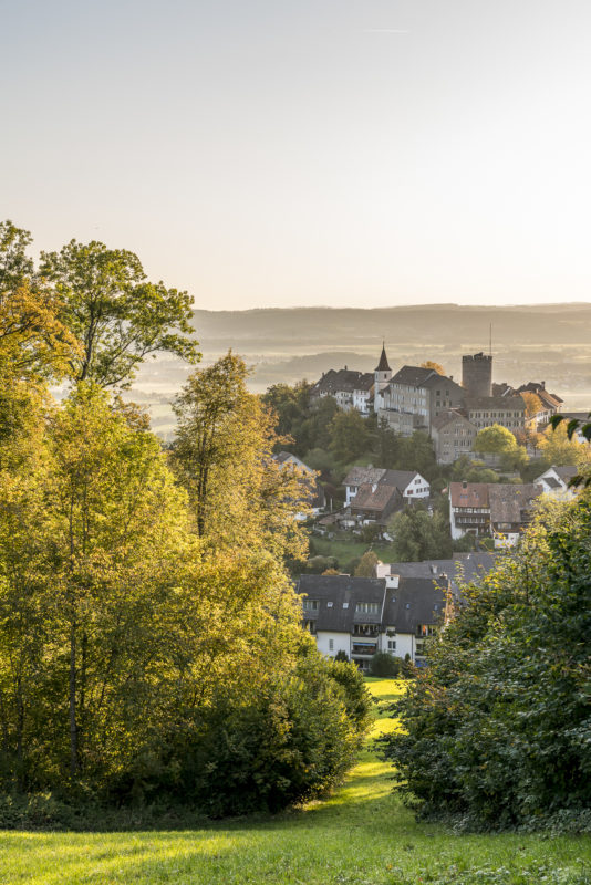 Regensberg Panorama